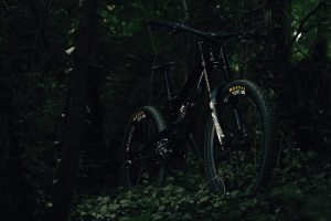 My bike _DSC5156